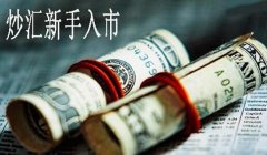 外汇理财哪个平台好？外汇理财平台选择过程中需注意什么？