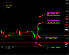 福瑞斯每日技术解盘1202